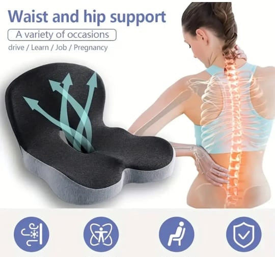 Seat cushion W/Lumber