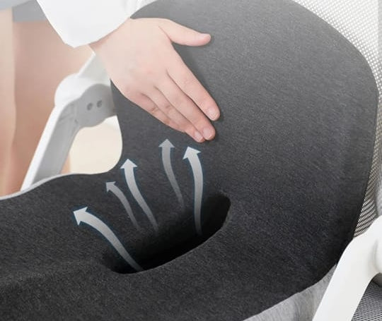 Seat cushion W/Lumber