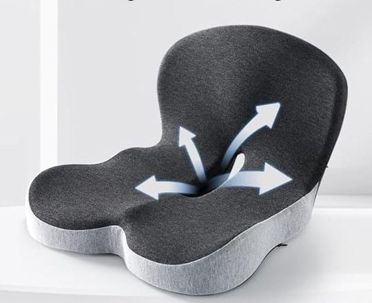 Seat cushion W/Lumber